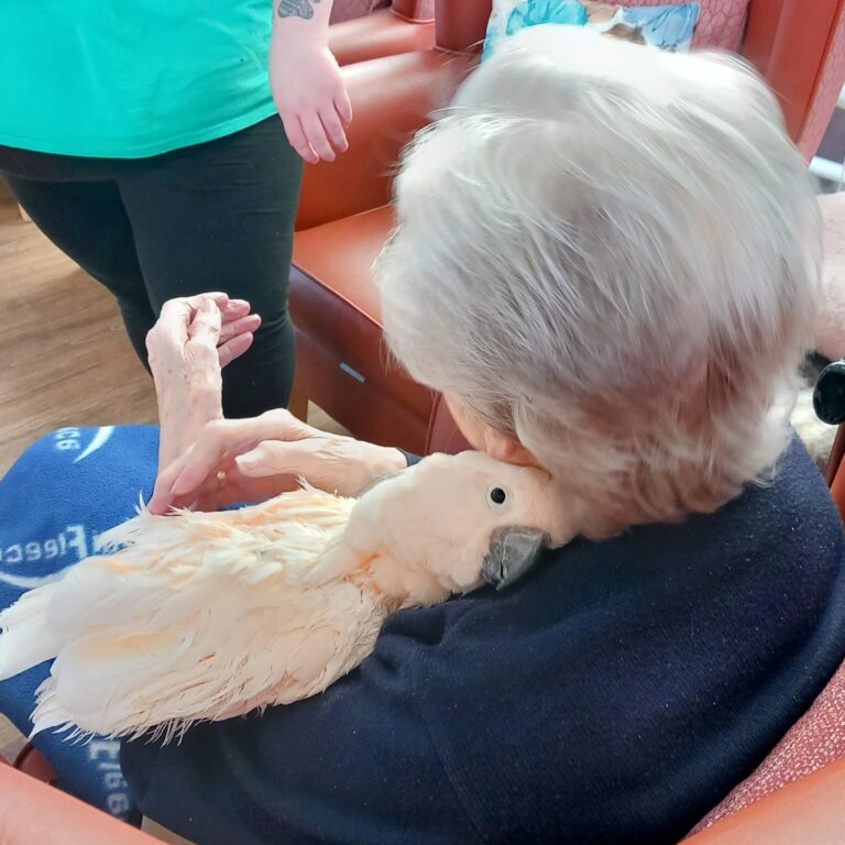 An elderly person sits in a chair, enjoying the warmth of their feathered friend nestled against their neck. Nearby, another person stands, appreciating this tender moment among furry and feathered companions.
