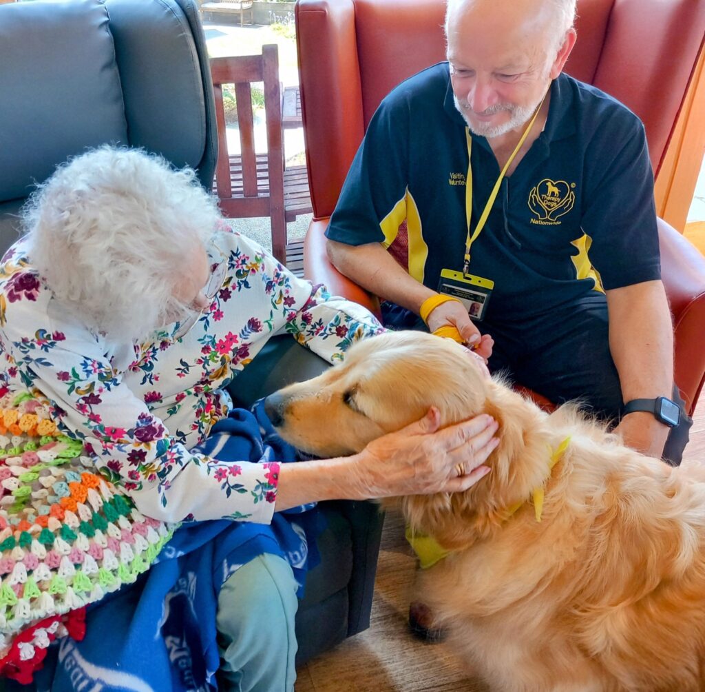 An elderly woman strokes a golden retriever during a Gwyl visit, while an older man, possibly called Tim, sits nearby in the cosy indoor setting.