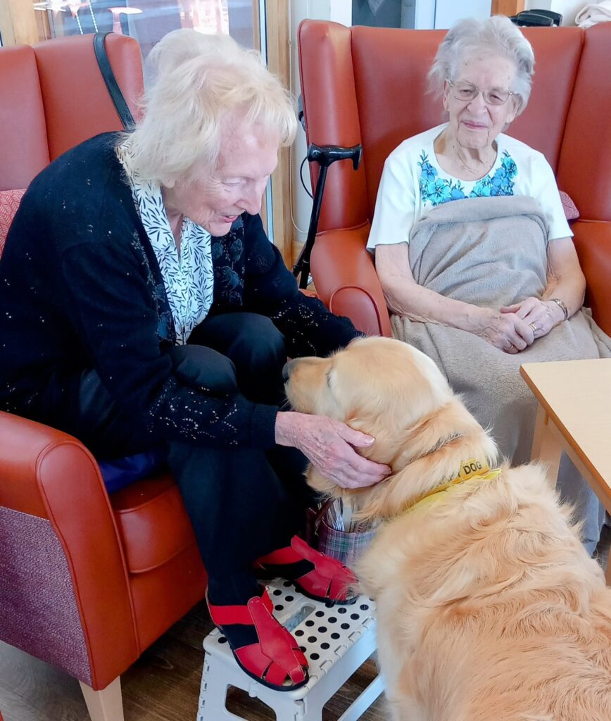 Two elderly women sit in chairs; during a Tim Visit, one strokes a golden retriever in a yellow vest as Gwyl watches and smiles.