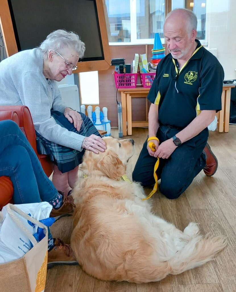 An older woman strokes a golden retriever lying on the floor, while a man kneels nearby holding the dogs lead—smiles light up the bright indoor setting as they enjoy time with their furry companion.