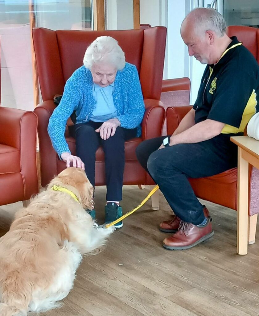 An elderly woman sitting in an armchair strokes a golden retriever, while a man kneeling nearby holds the dog’s lead, both sharing joyful smiles with their furry companions.