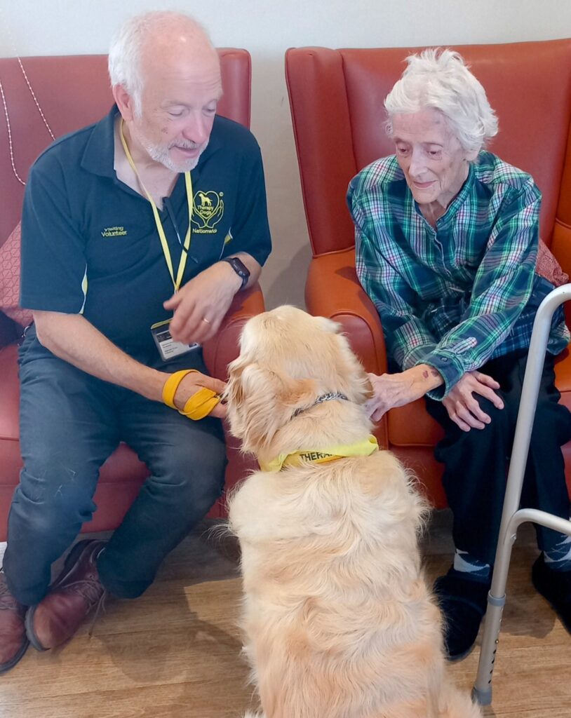 An elderly woman and a man sit in chairs, interacting with a golden retriever wearing a yellow therapy dog bandana. The woman uses a walking frame.