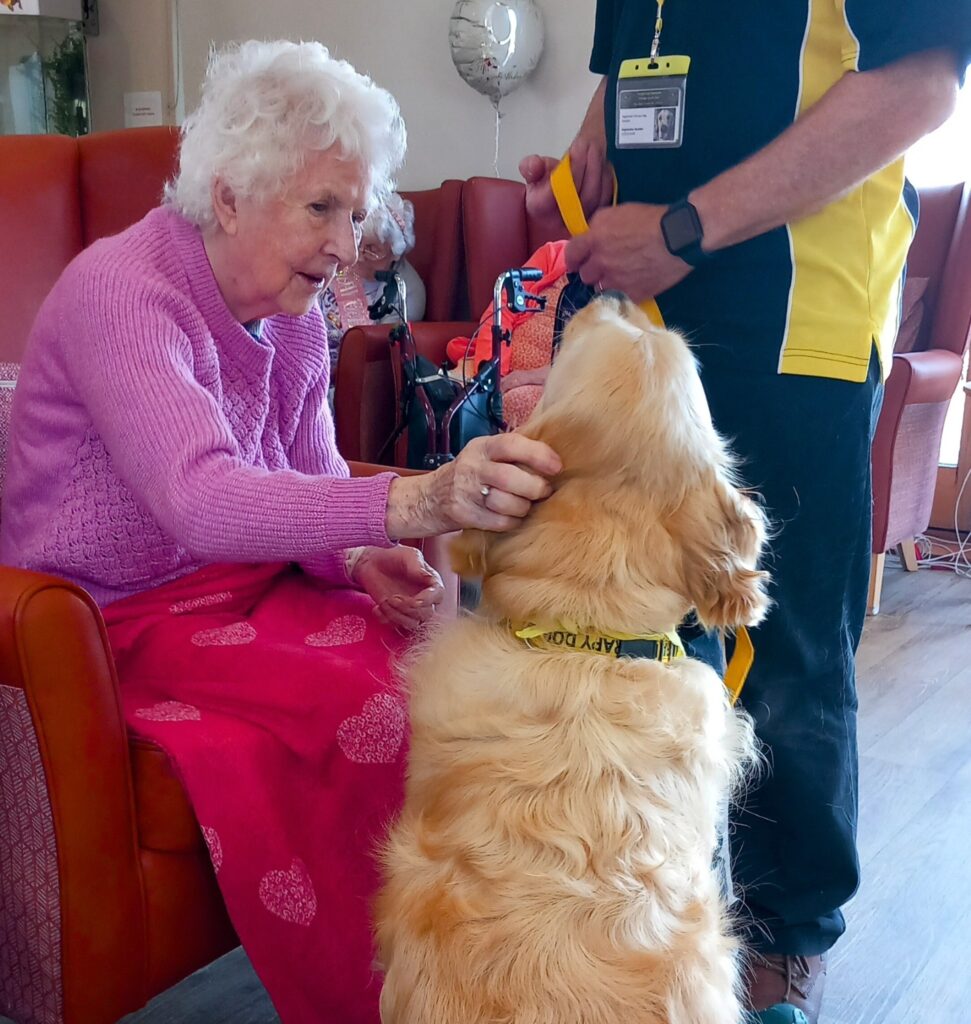 An elderly woman sitting on a red chair strokes a golden retriever therapy dog, while a handler stands nearby holding its lead.