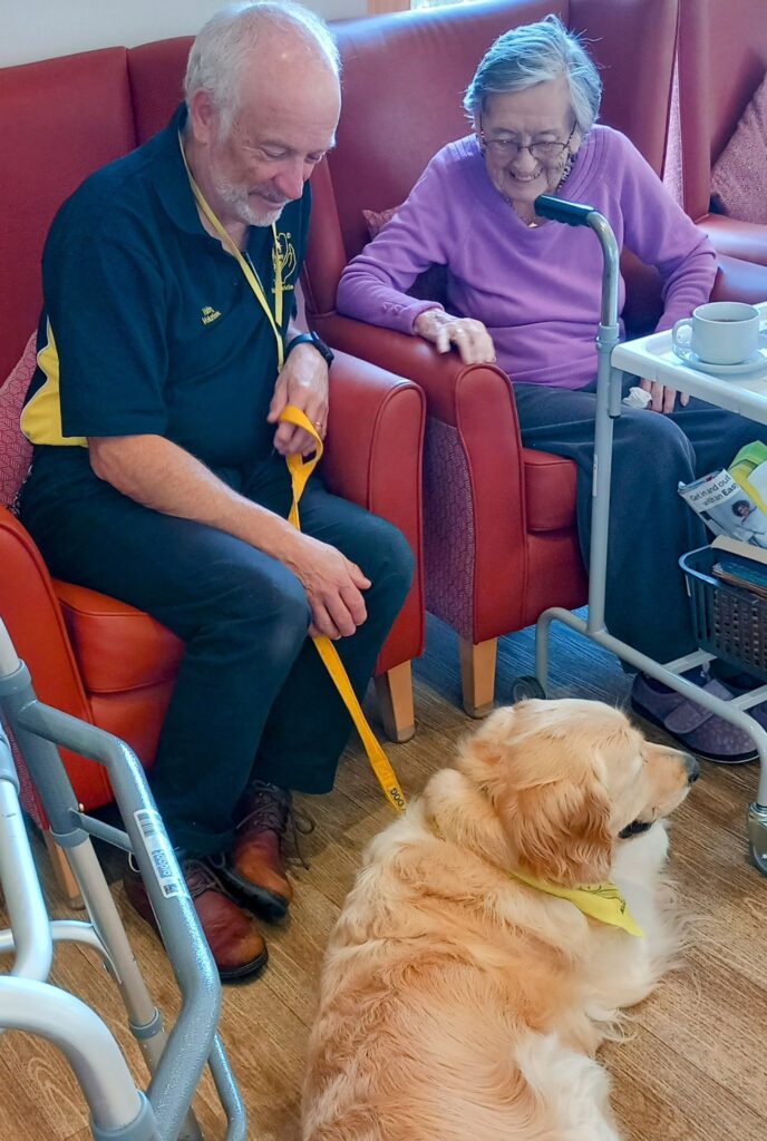An elderly woman with a walking frame sits next to a man holding a yellow lead, both looking at a golden retriever lying on the floor in the lounge area.