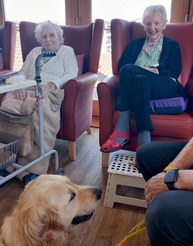 Two elderly women are seated in armchairs by a window, smiling at a golden retriever therapy dog. A man sits nearby, wearing a watch and holding the dogs lead.