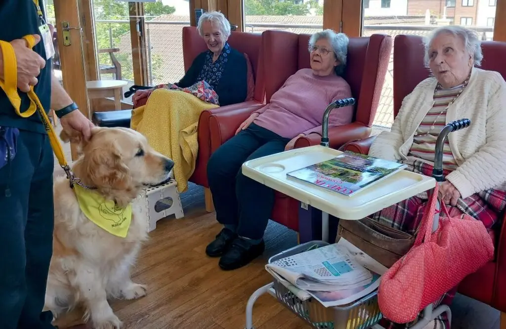 Three elderly women are seated in armchairs with walking aids nearby, while a golden retriever wearing a yellow bandana sits in front of them. A person is standing beside the dog.