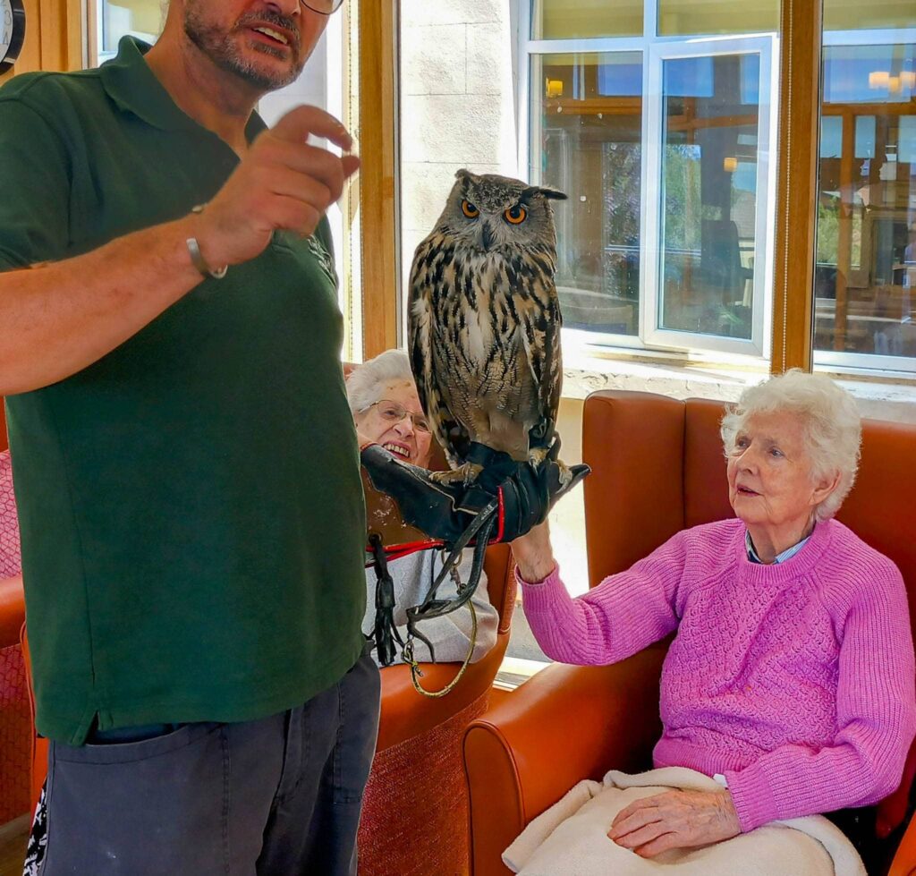 On a calm afternoon, a man holds a large owl on his gloved arm while two elderly women in chairs observe, one gently touching their feathered friends leg.