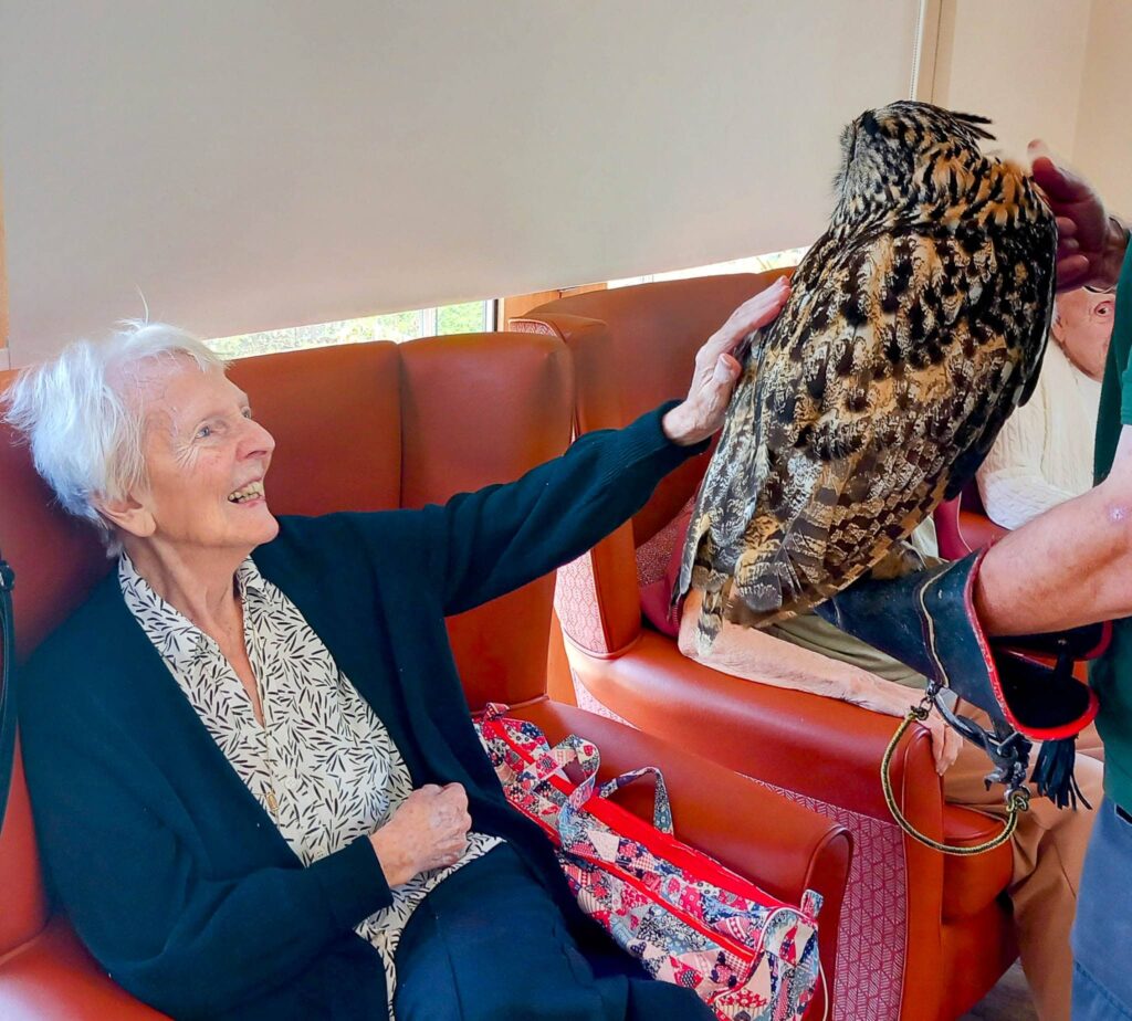 An elderly woman sitting on a sofa smiles as she gently strokes a large feathered friend perched on the arm of a gloved person indoors.
