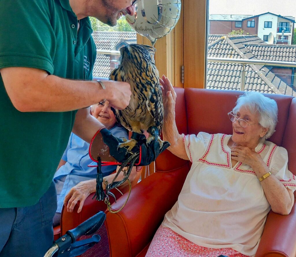 An elderly woman sits in a chair, smiling as she reaches out to touch a feathered friend perched on a handler’s gloved arm in a sunlit room.