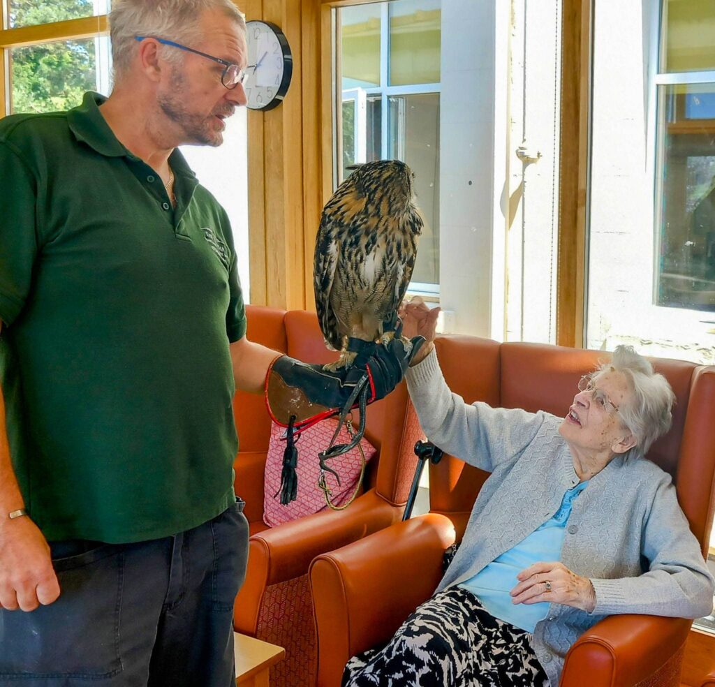 An elderly woman seated in a chair reaches out to touch a feathered friend—an owl perched on a man’s gloved hand indoors, with sunlight streaming through the windows behind them. British English rewrite: An elderly woman, seated in a chair, reaches out to touch a feathered companion—an owl perched on a man’s gloved hand indoors, with sunlight pouring through the windows behind them.