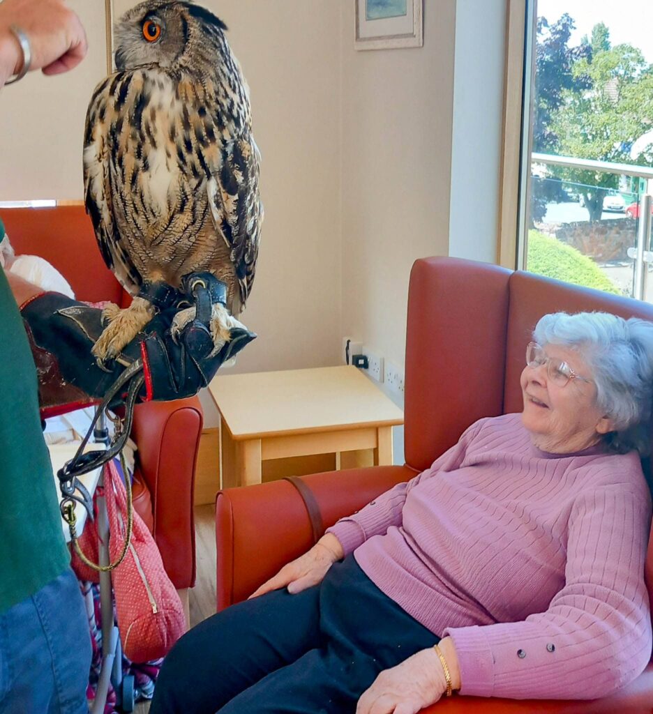 An elderly woman sits on a red chair, smiling at a large owl perched on a handler’s gloved arm indoors during an afternoon event with feathered friends.