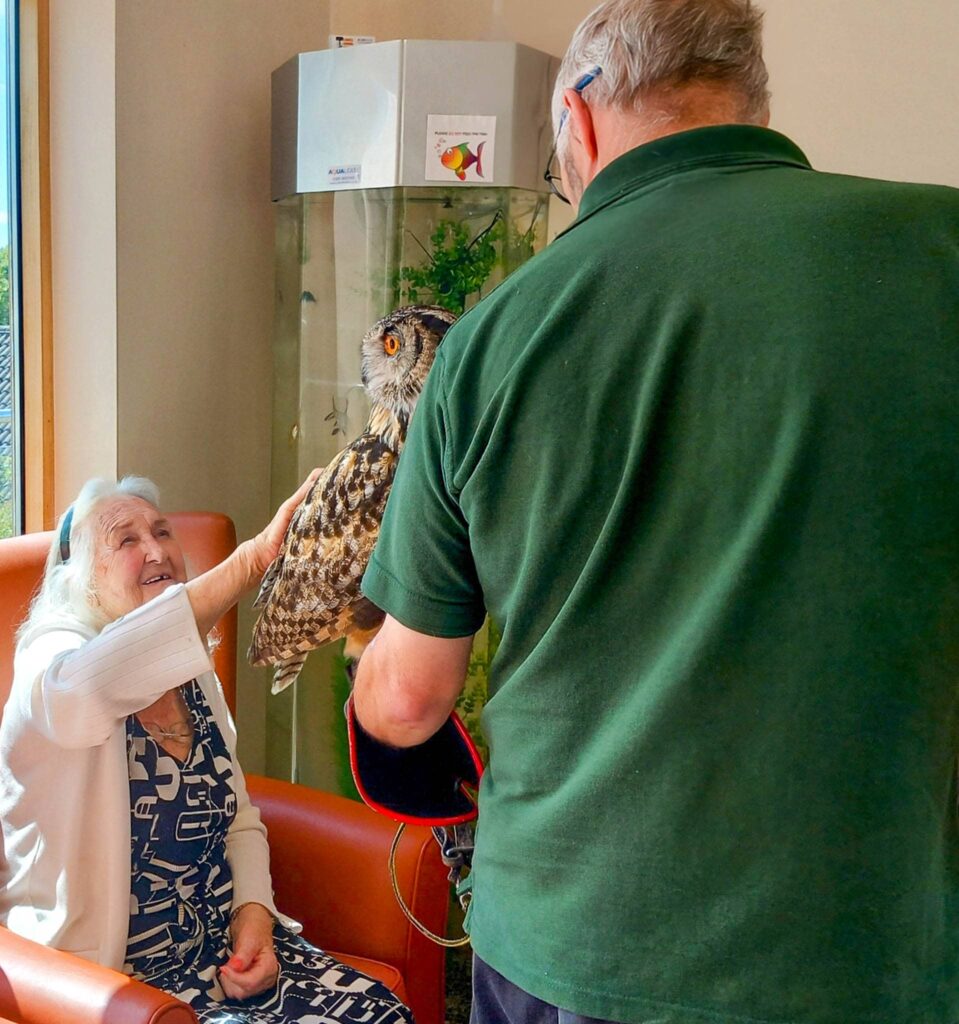 An elderly woman seated in an armchair gently strokes an owl, one of her feathered companions, held by a man standing in front of her.