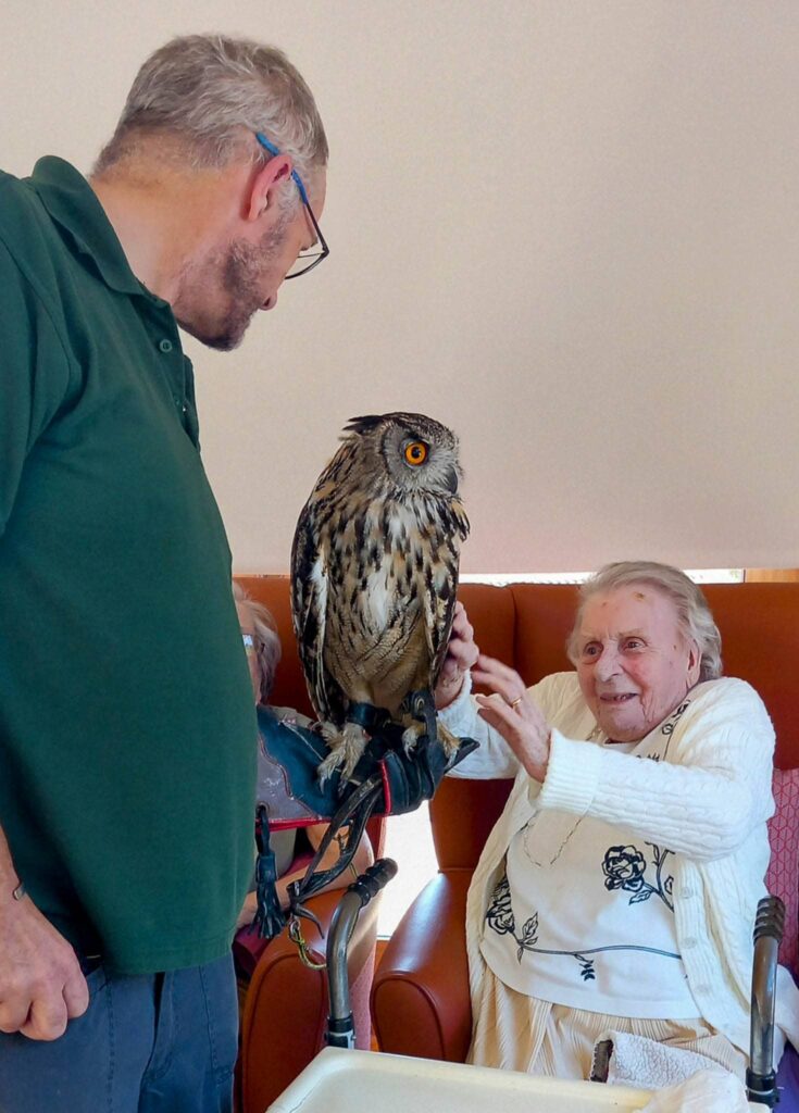 An elderly woman in a care home smiles and gently strokes an owl, one of the feathered visitors at the afternoon event, held by a man in a green shirt.