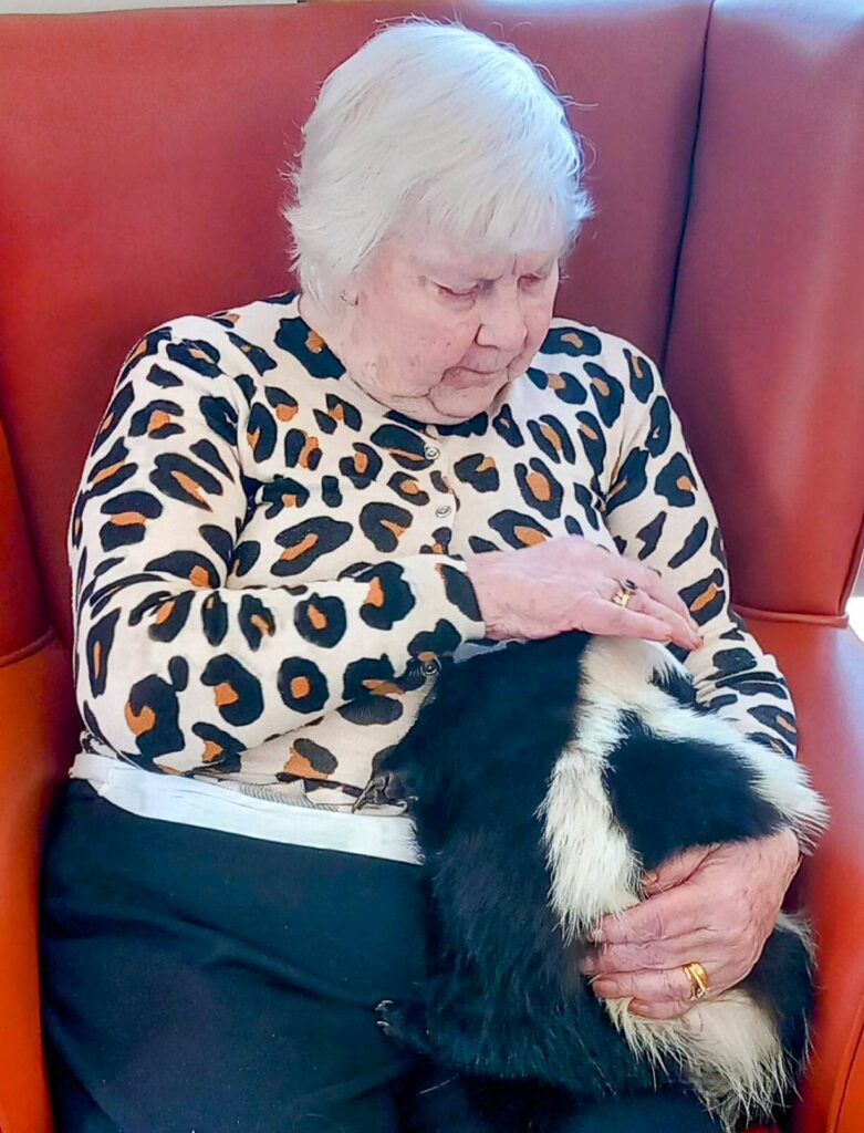 Elderly woman with white hair, wearing a leopard-print jumper, sits on an orange chair and enjoys a quiet afternoon as she strokes a black and white skunk—one of her favourite furry friends—on her lap.