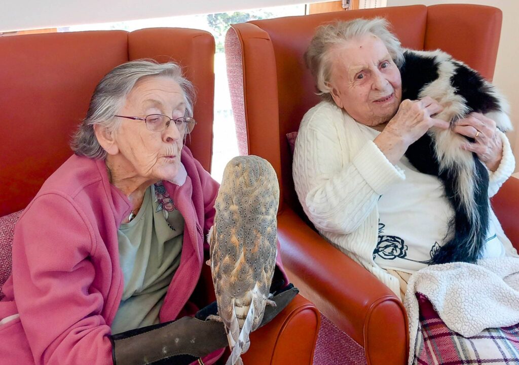 Two elderly women sit in armchairs, enjoying a quiet afternoon with their furry and feathered companions—one holds an owl, while the other cradles a black-and-white animal, possibly a skunk. Both appear deeply engaged with their companions.