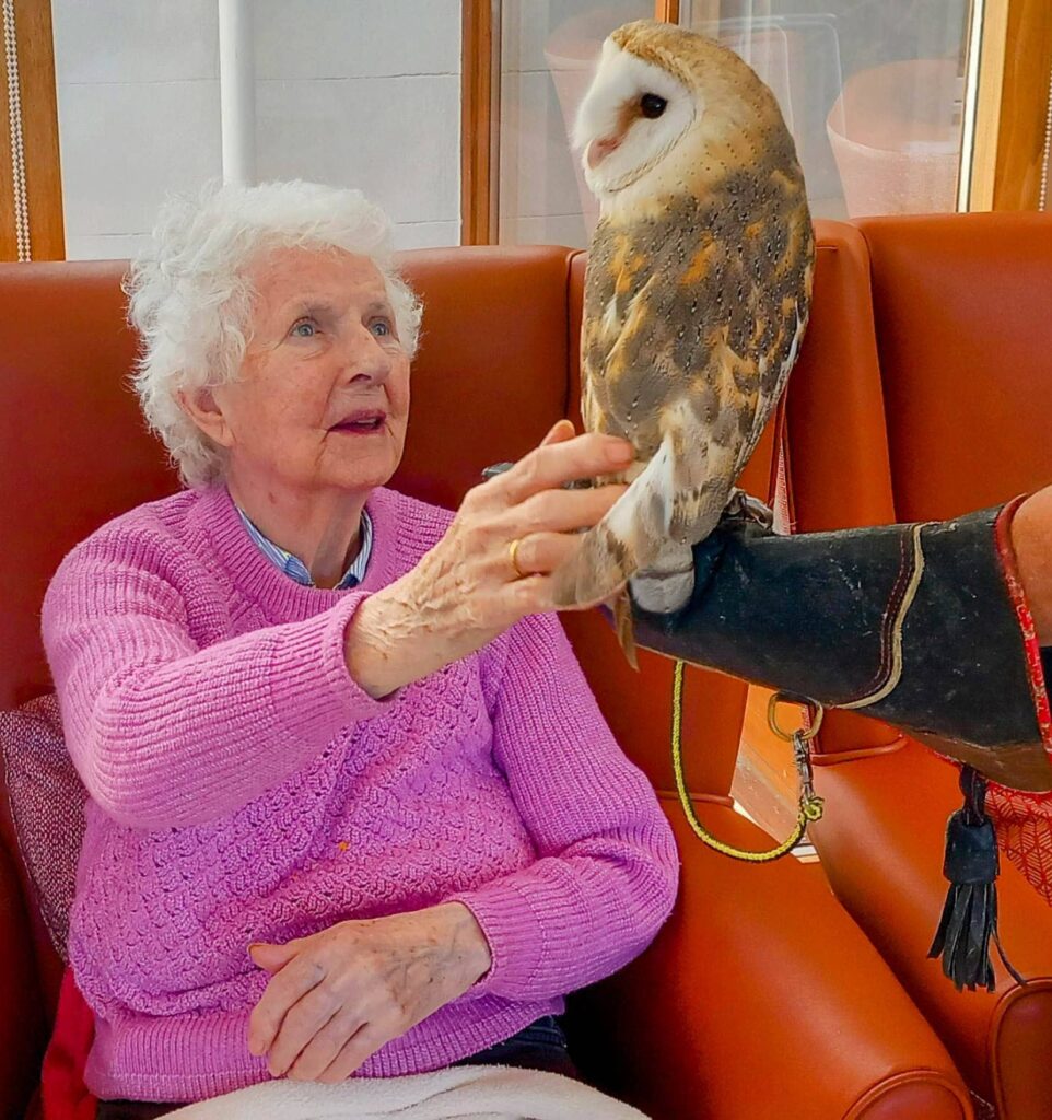 An elderly woman in a pink jumper sits in a chair one afternoon, gently stroking a feathered companion—a barn owl—perched on her gloved hand.