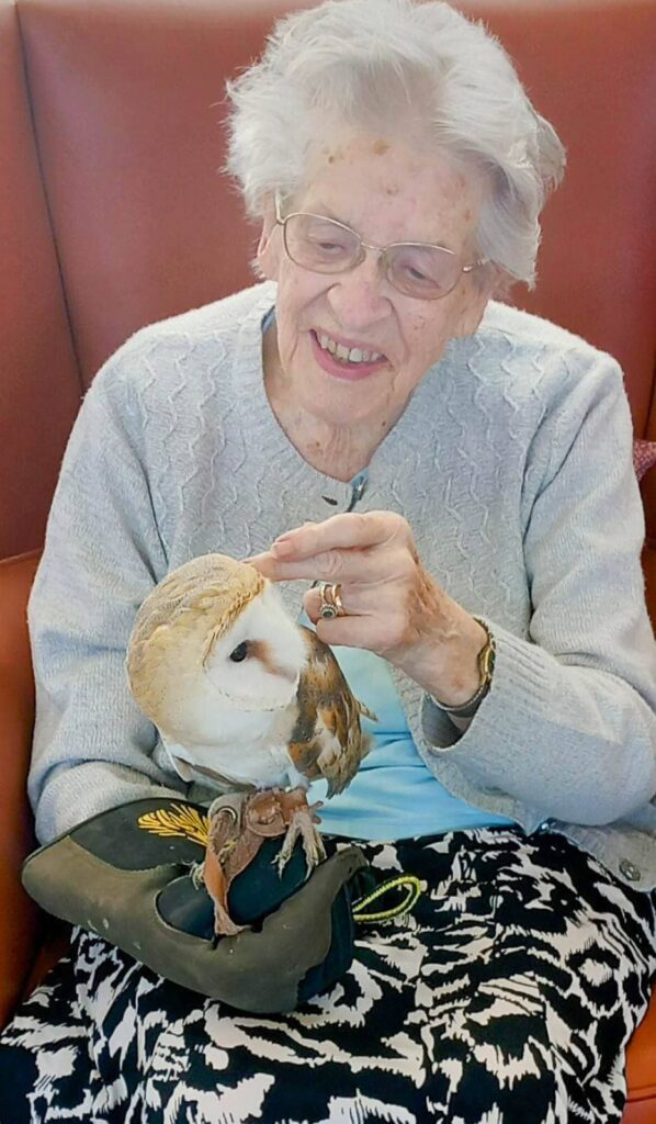 An elderly woman in glasses and a light jumper smiles as she gently strokes a barn owl, enjoying a peaceful afternoon with her feathered companion perched on her gloved hand.