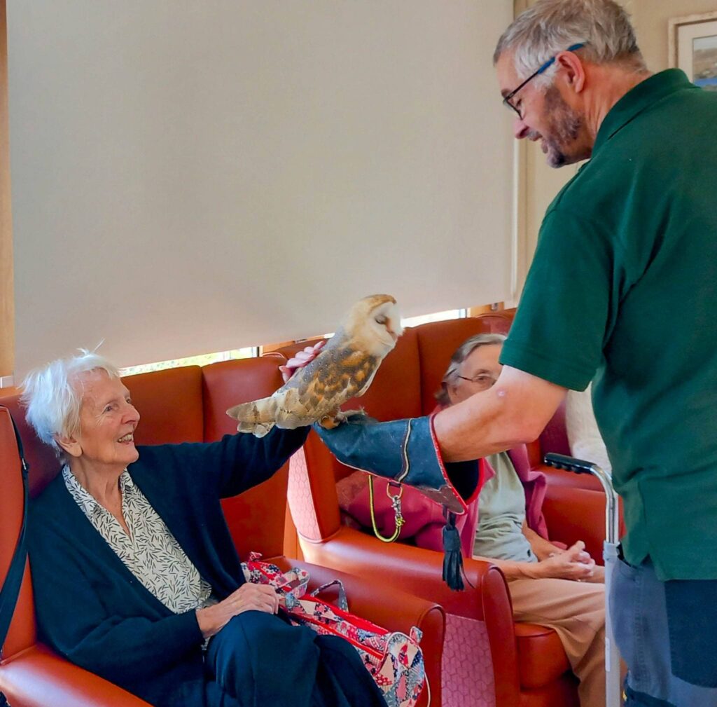 An elderly woman sitting in a chair gently strokes a barn owl, one of the feathered friends at this animal event, perched on a mans gloved hand inside a room, while another seated woman looks on.