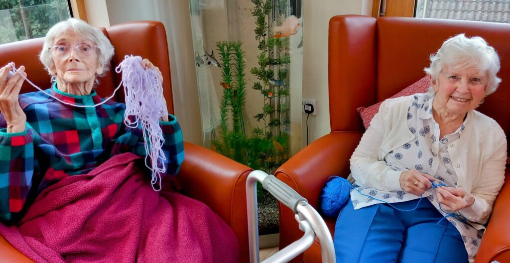 Two elderly women sit in armchairs; one holds tangled wool, while the other knits with blue wool. An aquarium with fish is in the background.