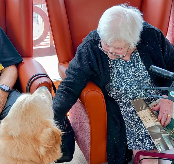 An elderly woman seated in a chair strokes a golden retriever. She holds a magazine and interacts with the dog in a bright indoor setting.