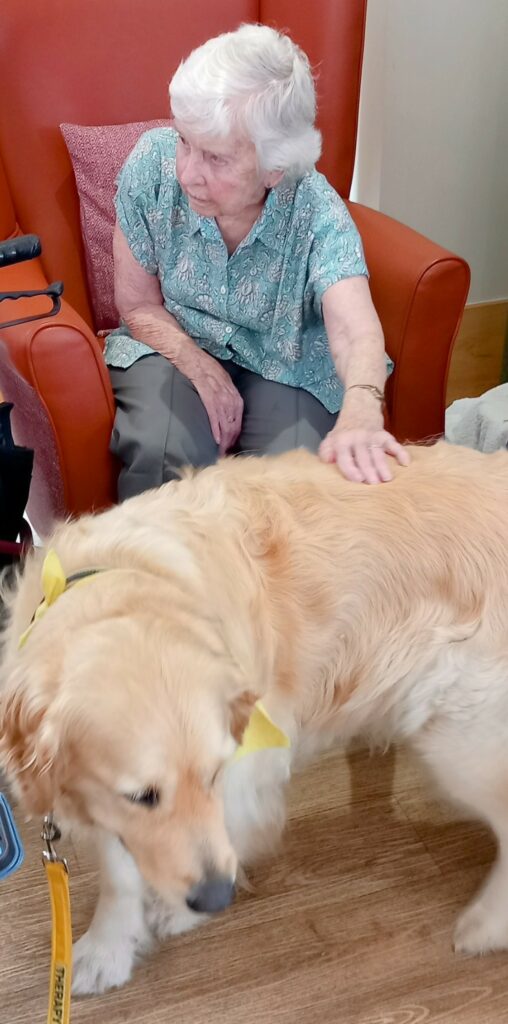 An older woman sitting in an armchair strokes a golden retriever wearing a yellow bandana indoors.