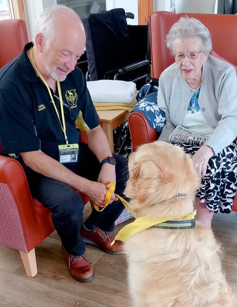 An elderly woman sits in a chair while a man holds the lead of a golden retriever. The dog is wearing a yellow vest, and all three are indoors.