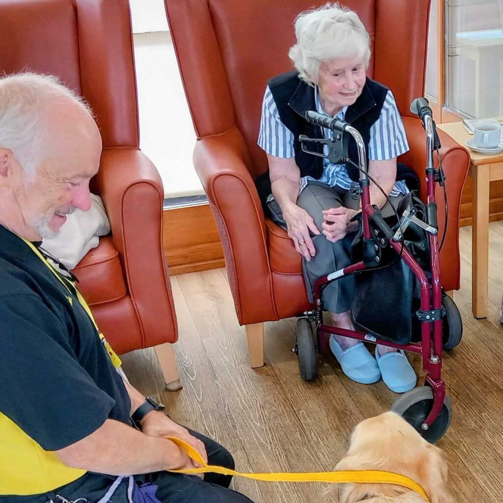 An elderly woman with a walking frame sits in a chair, smiling at Tim and Gwyll during a Pawsitive Afternoon pet event, as Tim holds a yellow lead attached to the golden retriever lying on the floor.