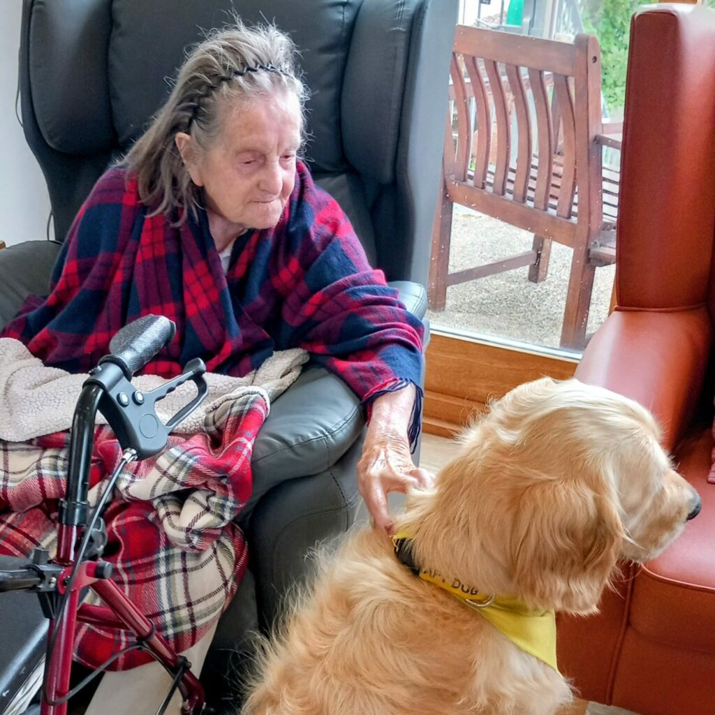 An elderly woman sits in an armchair with a walking frame nearby, gently stroking a golden retriever wearing a yellow bandana during the Pawsitive Afternoon pet event.