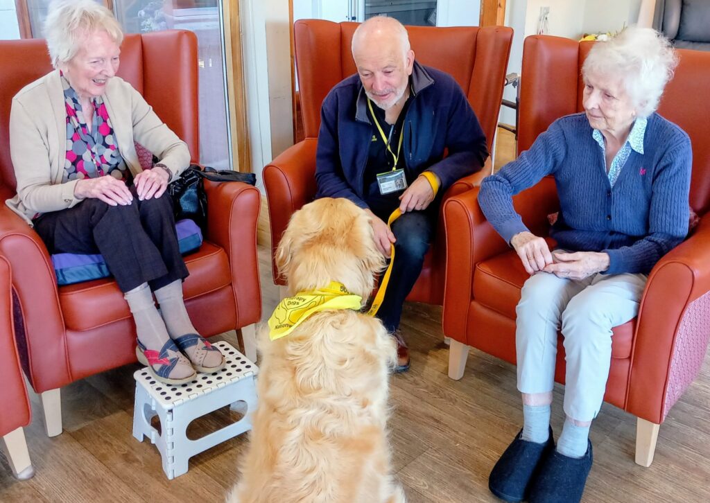 Three elderly people sit in armchairs, smiling and engaging with Gwyll, a golden retriever sporting a yellow bandana, during a Pawsitive Afternoon in a brightly lit room.