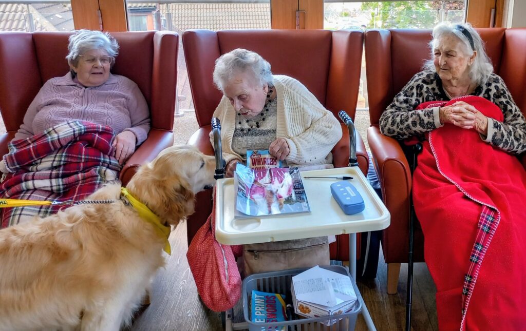 During a Pawsitive Afternoon, three elderly women sit in armchairs—two with red blankets—while Tim and Gwyll, the golden retriever, visit; one woman leans forward to stroke him near a tray with a magazine.
