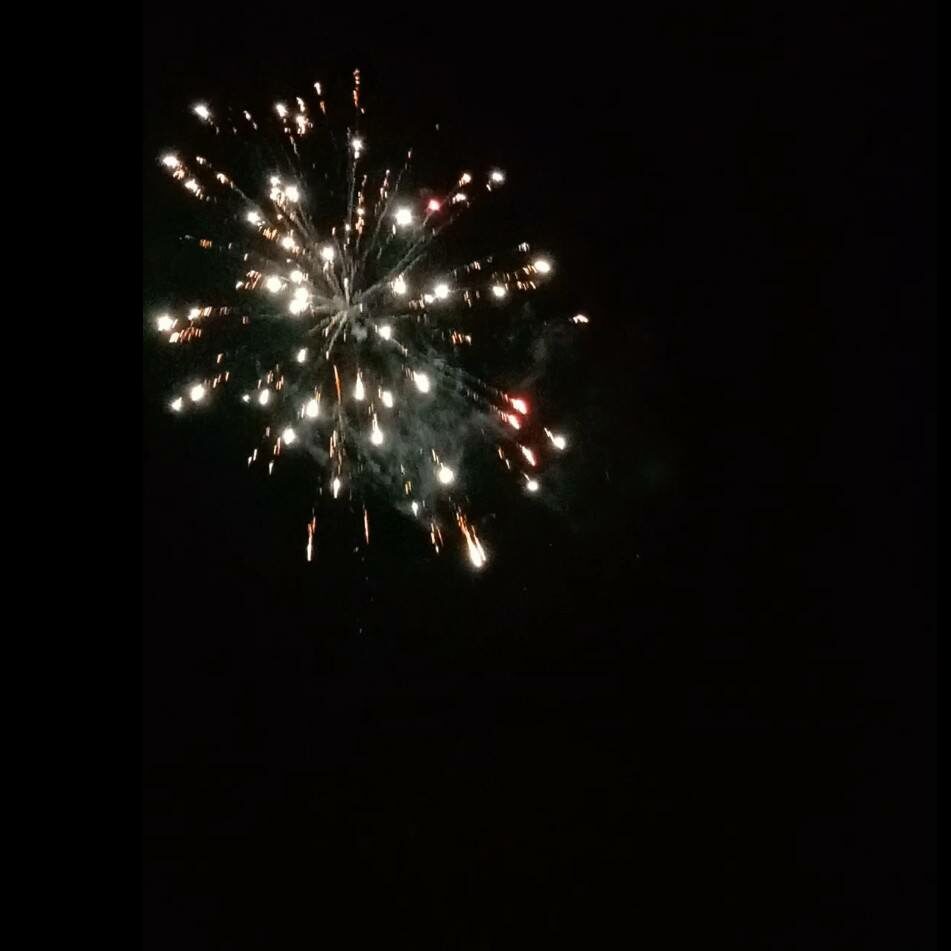 A lone firework bursts in the night sky, bright white and orange sparks fanning out against a dark backdrop—ideal for safe celebrations on Bonfire Night at Lear House.