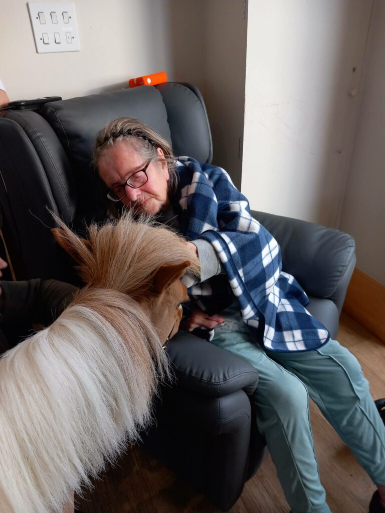 An elderly person sits in an armchair, covered with a blue checked blanket, reaching out to touch Fudgecake the Pony, their special visitor on a peaceful afternoon indoors.