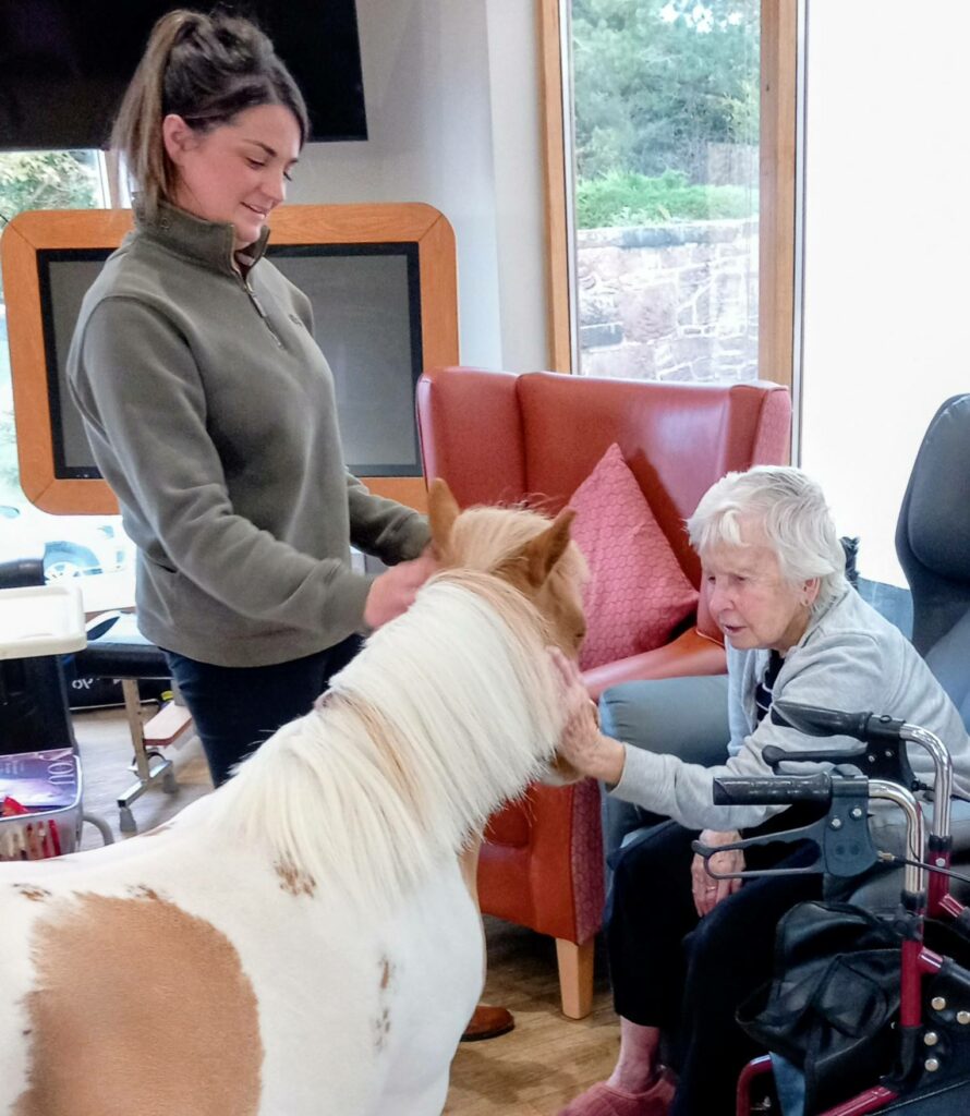 An elderly woman in a wheelchair strokes Fudgecake the Pony, her special visitor for the afternoon, as a young woman stands beside them, gently guiding the pony indoors.