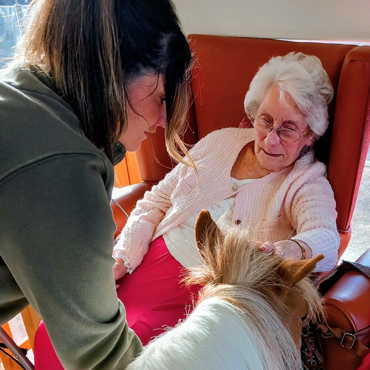 A woman assists an elderly lady seated in a chair to interact with Fudgecake the Pony, their special visitor, as afternoon sunlight pours through the window.