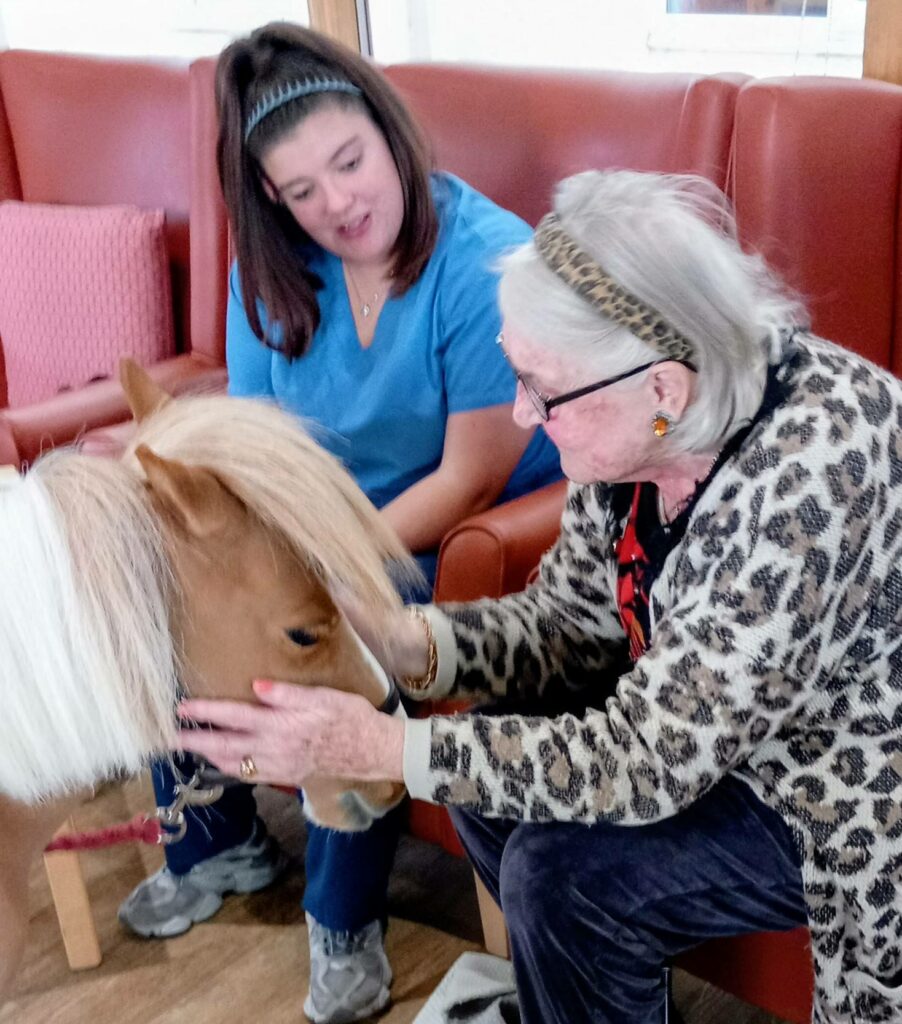 An elderly woman sits on a chair, stroking Fudgecake the Pony—a special visitor—while a young woman in blue scrubs looks on nearby, both indoors on a tranquil afternoon.