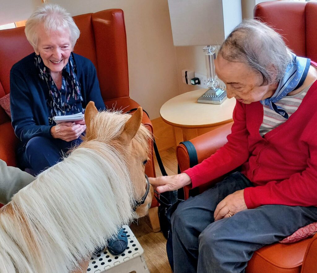 Two elderly women sit in chairs, one smiling while the other gently strokes Fudgecake the Pony, their special visitor for the afternoon event.