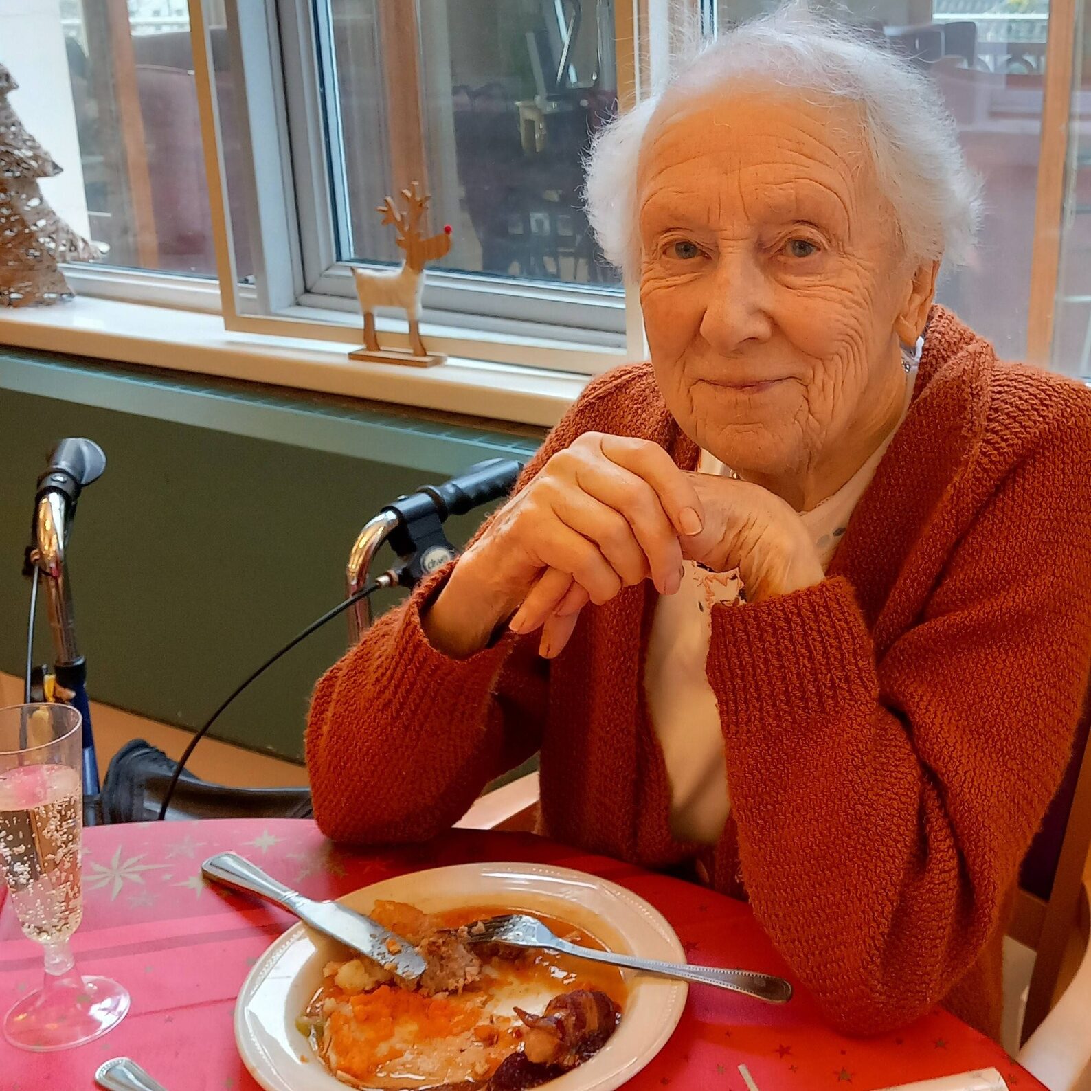 Elderly woman seated at a table with a meal, cutlery, a glass of drink, and Christmas decorations in the background.