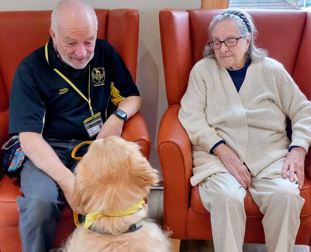 An elderly woman and a man sit in orange chairs at the Knit and Natter morning gathering; the man strokes a golden retriever wearing a yellow harness.