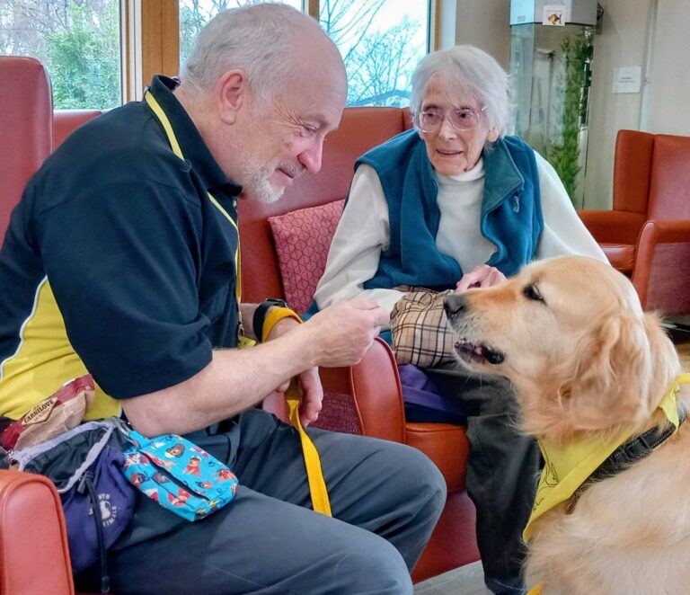 An elderly man gives a treat to a golden retriever sporting a yellow bandana, as an elderly woman, occupied with her knitting, looks on in a brightly lit indoor setting.