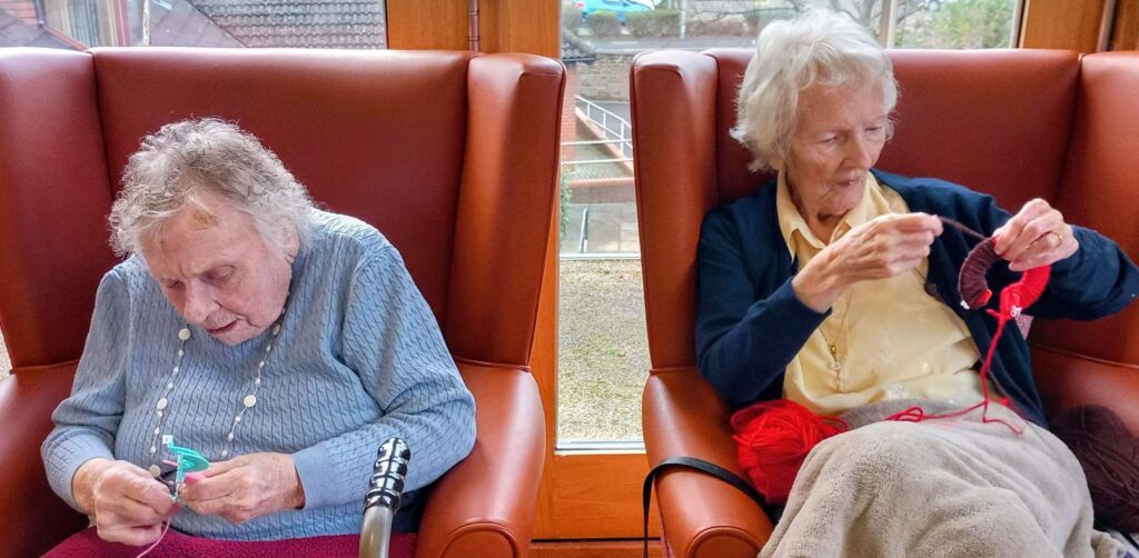 Two elderly women sit side by side in armchairs, enjoying a cosy afternoon of knitting and crocheting, their creativity evident as natural light pours through the windows behind them.