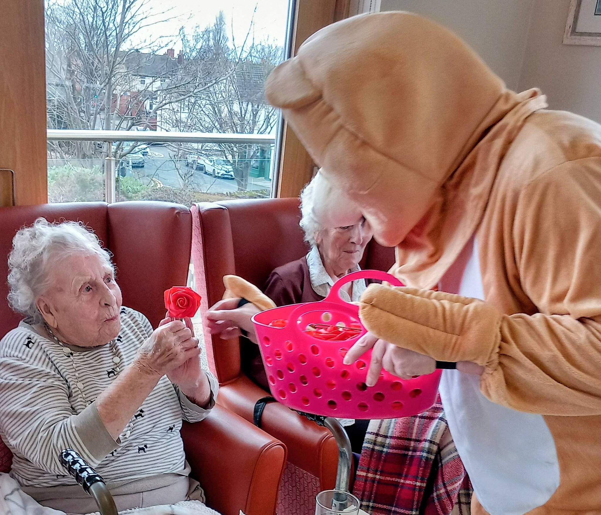 Music Shortbread A Valentine’s Afternoon of Music, Dancing & Shortbread Hearts ...