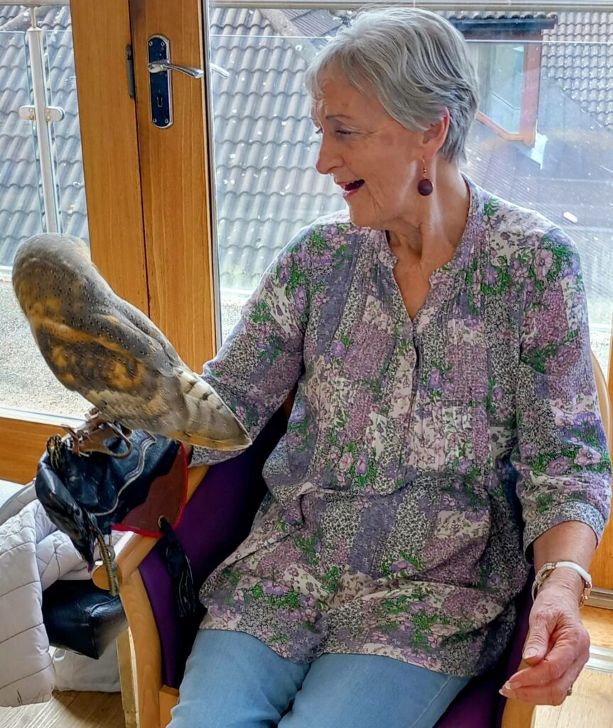 An older woman sitting indoors holds a barn owl on her gloved hand, observing its striking talons with interest during this unique visit.