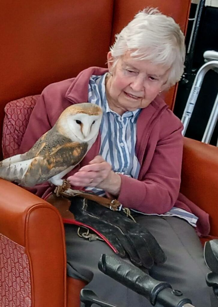 An elderly woman seated in a red chair gently strokes a barn owl perched on her lap, relishing the unusual visit as its talons rest lightly across her knees.