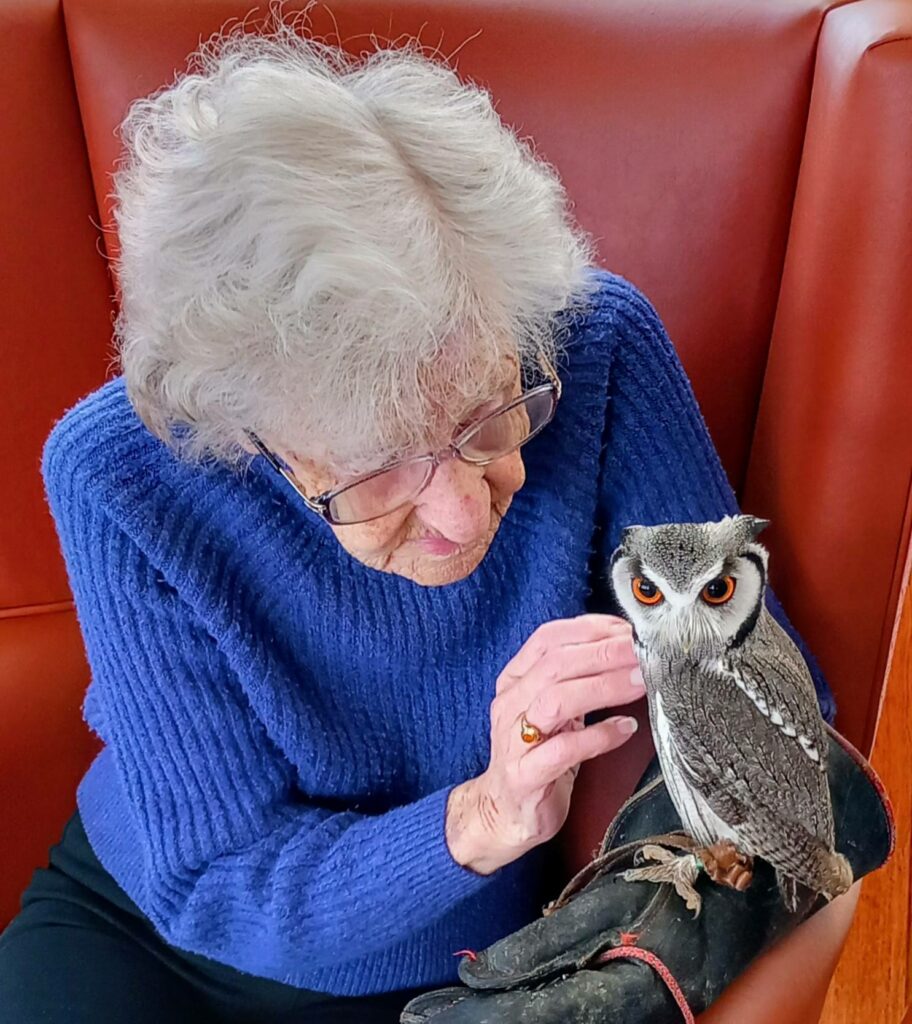 An elderly woman wearing a blue jumper sits on a red chair and gently strokes a small owl with sharp talons perched on her gloved hand.