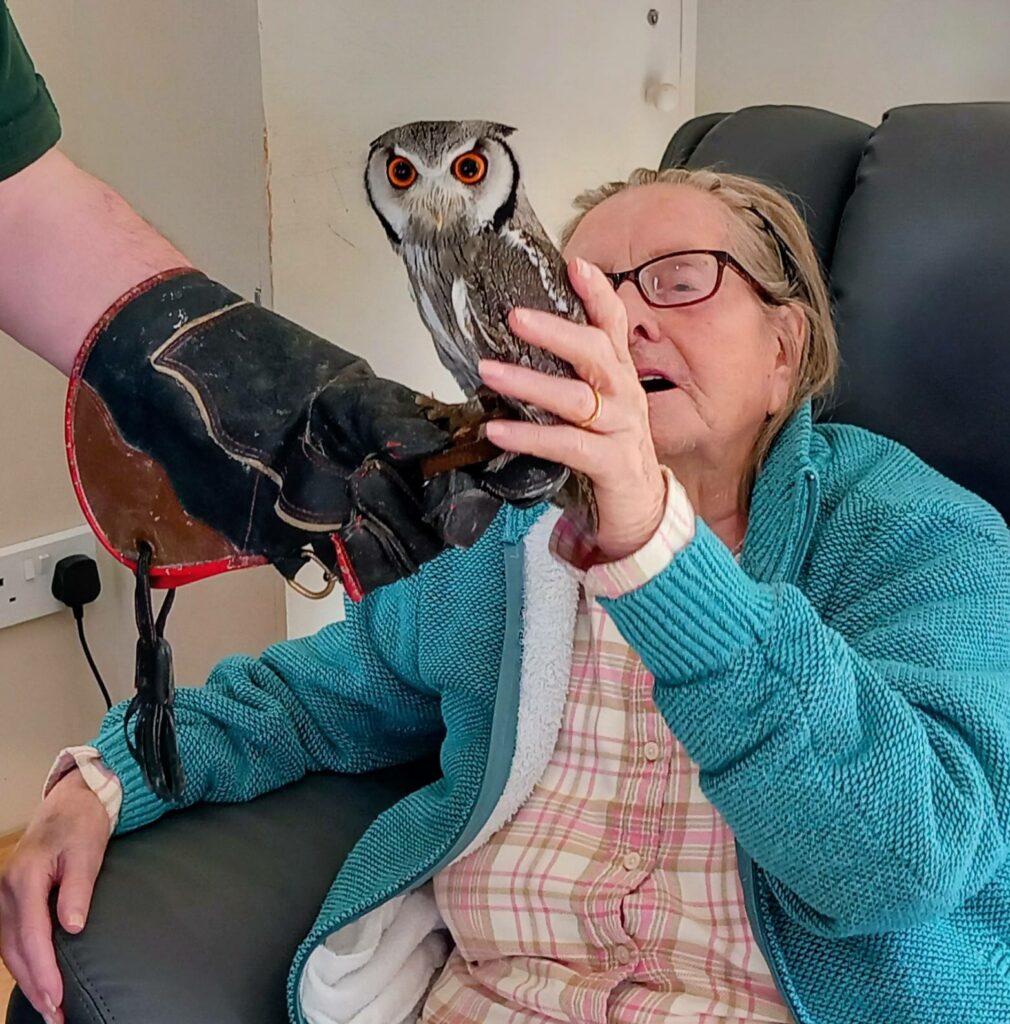 An elderly woman seated in a chair gently strokes a small owl, its talons gripping a gloved hand during this special visit.