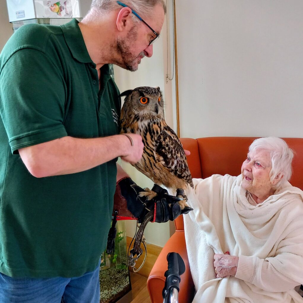 A man holding an owl, its talons gripping his gloved hand, stands next to an elderly woman on a sofa as she reaches out to gently stroke the owl during this unusual visit.