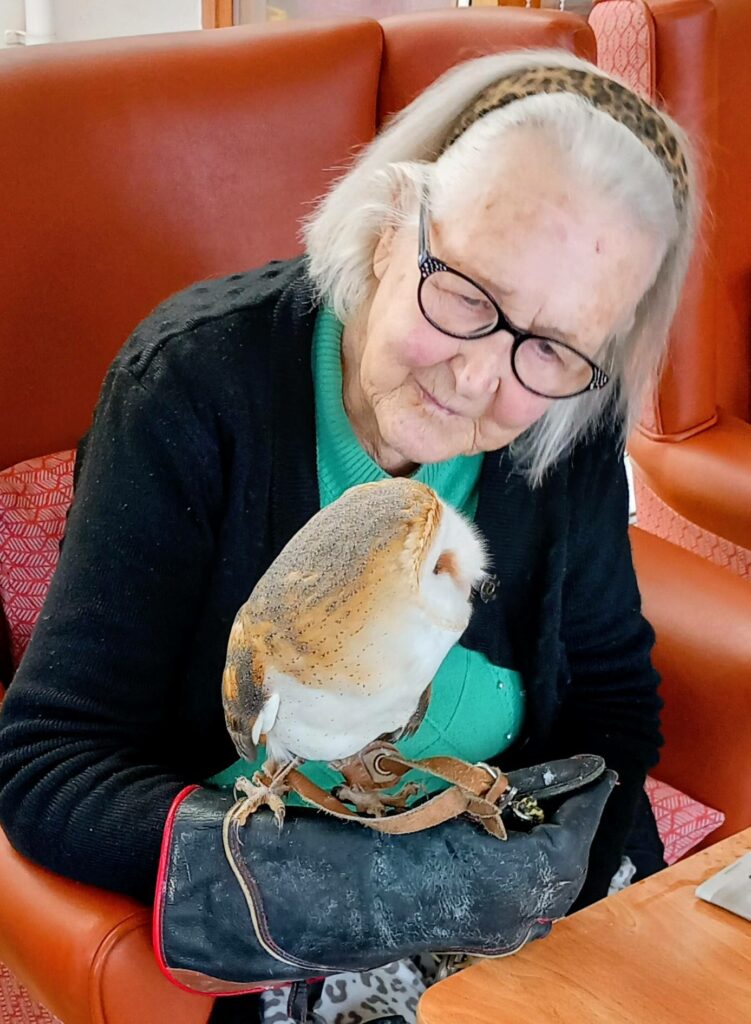 An older woman wearing glasses and a headband enjoys a special outing as she holds a barn owl with sharp talons perched on her gloved hand whilst sitting on an orange chair.