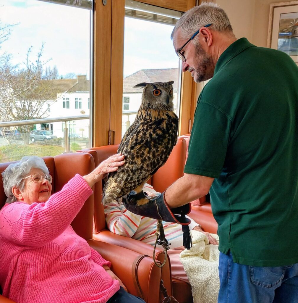 An elderly woman seated on a settee strokes a large owl, its sharp talons clutching a man's gloved hand, during an unusual visit inside a bright room with large windows.