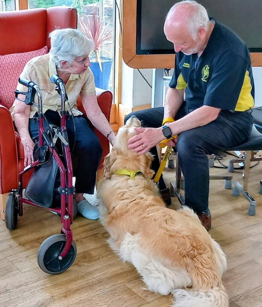 An elderly woman with her walking frame strokes a golden retriever from Therapy Dogs Nationwide, as a man in a black and yellow shirt—possibly Gwyll and Tim—kneels close by, enjoying time with the therapy dogs.