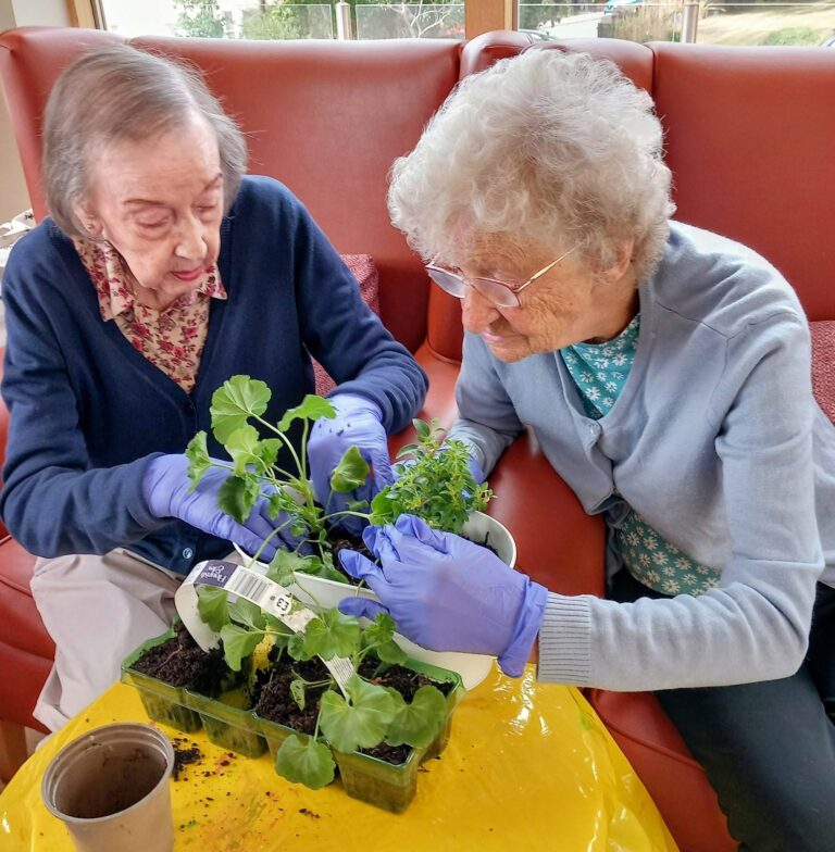 Two elderly women at Lear House put on gloves and enjoy a day of planting, moving seedlings into pots on a table draped with a yellow cloth. Ideal for balcony gardening enthusiasts!.